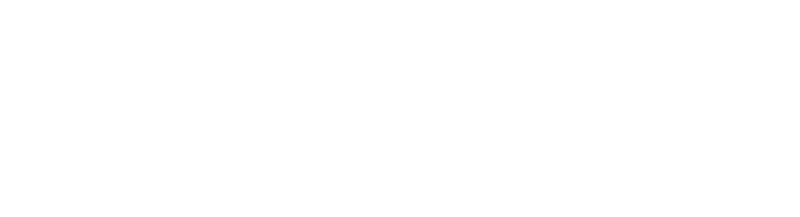 Develomentor